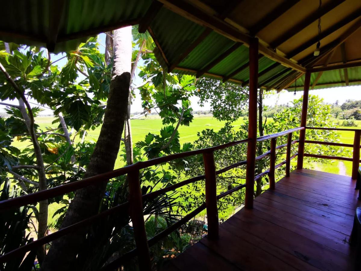 Lake Side View Cabana Tissamaharama Zewnętrze zdjęcie