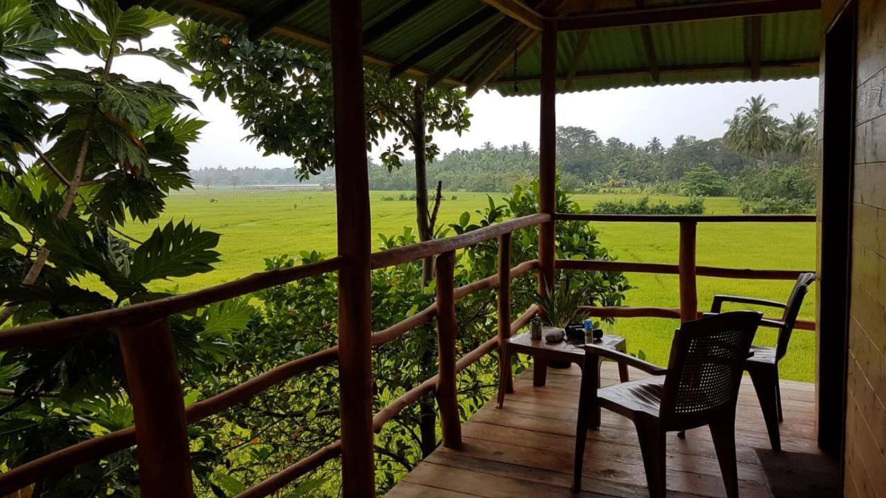 Lake Side View Cabana Tissamaharama Zewnętrze zdjęcie